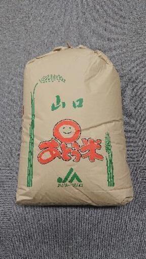 冷和元年 阿東コシヒカリ玄米