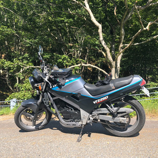 交渉中　VTZ 250 試乗可能(26歳以上)