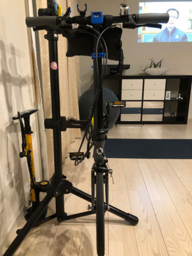 ダホン フォールディングバイク ダホンOEM 軽量AL-FDB14