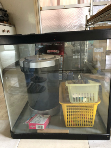 大きな水槽
