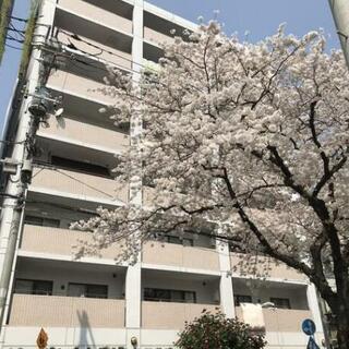 ◎内見動画あり◎仲介手数料なし・伊勢佐木長者町駅徒歩6分・関内駅徒歩15分・１DKマンション・賃料94000 ・FR付き - 横浜市