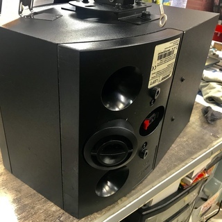 Bose 301V Direct/Reflecting スピーカーシステム ペア