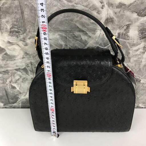 きの発送も承っております。クラインカルー オーストリッチ