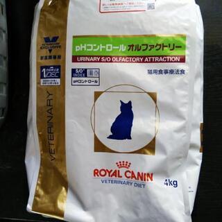 ロイヤルカナン　猫用　オルファクトリー4kg