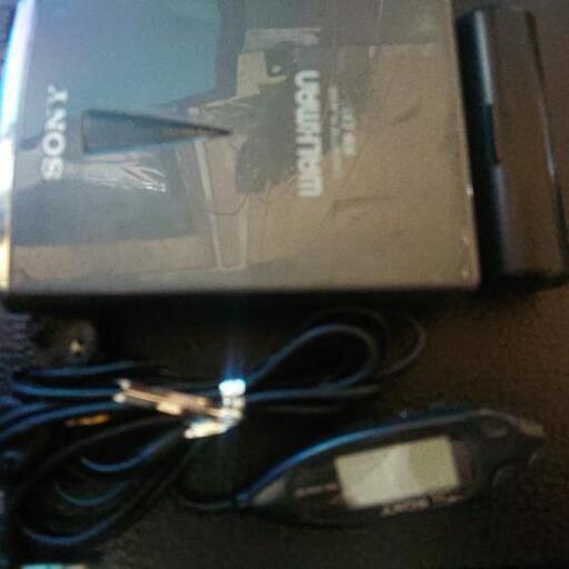 ≪国美協≫多田晴義、『桜・白雪の富士山』、油彩画、F10号：53,0cm×45