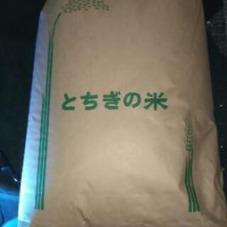 令和元年栃木県産とちぎの星玄米３０キロ残り１袋です。受け渡し先決まりました❗️