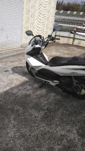 人気のPCX jf28 125cc値下げしました | qsfirst.sg