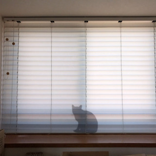 猫のシルエットが可愛い ブラインドカーテン 出窓や腰高サイズの窓...