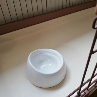 その他 ワンちゃんお迎えセット一式（未使用）