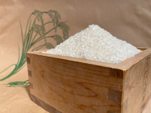 頑固オヤジのコシヒカリ　30kg　(滋賀湖北・減農薬) 頑固オヤジのコシヒカリ 30kg (滋賀湖北・減農薬) 新米！ 令和6年度産 頑固