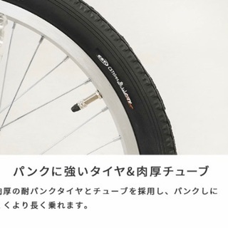 子供乗せ自転車 ２人乗り 自転車 20インチ -Birthday(バースデイ)-