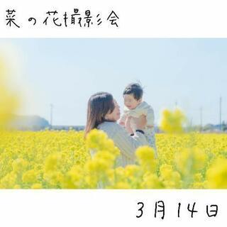 【3/14笠岡】菜の花撮影会