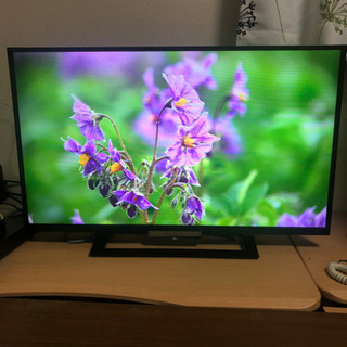 ソニー 32V型 LED液晶 テレビ ハイビジョンブラビア - テレビ