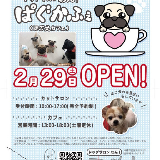 犬カフェオープン あゆみ てだこ浦西のペットサービスの無料広告 無料掲載の掲示板 ジモティー