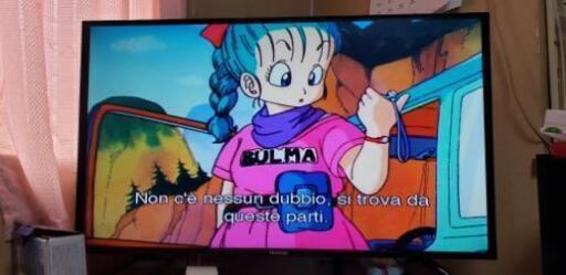 AR】日展会友 成田陽 日本画 秋錦 F6 共シール