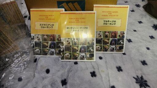 犬のDVD 新品