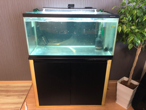 決定 90センチ水槽セット おおた 福間のその他の中古あげます 譲ります ジモティーで不用品の処分