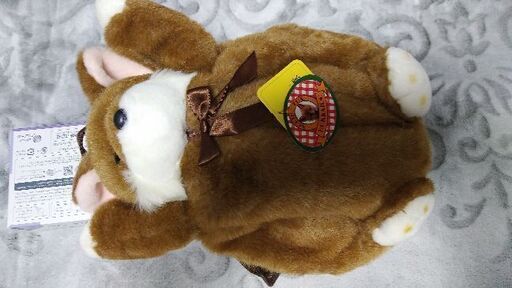 北海道のキツネのリック カクテル 龍ケ崎のおもちゃ ぬいぐるみ の中古あげます 譲ります ジモティーで不用品の処分