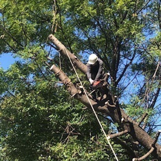 事業拡大の為 急募 造園 伐採 土木 イルミネーション 有 野口造園土木 万博記念公園の土木の正社員の求人情報 有限会社野口造園土木 ジモティー