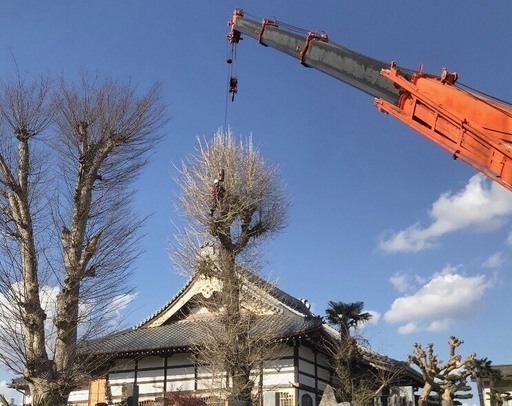 事業拡大の為 急募 造園 伐採 土木 イルミネーション 有 野口造園土木 万博記念公園の土木の正社員の求人情報 有限会社野口造園土木 ジモティー