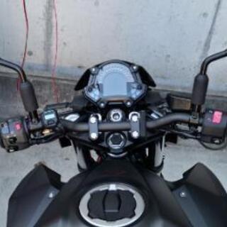 カワサキ Z250 2BK-EX250P 2019年式 カスタム多数