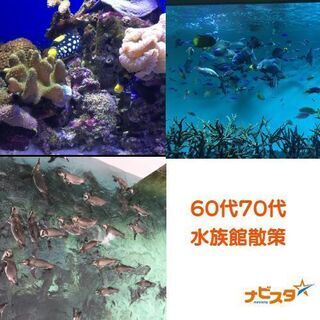 4/16　１０:００　60代70代中心葛西臨海水族館出会い巡り散策