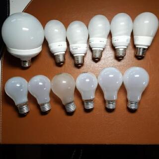 白熱灯、電球型蛍光灯12個