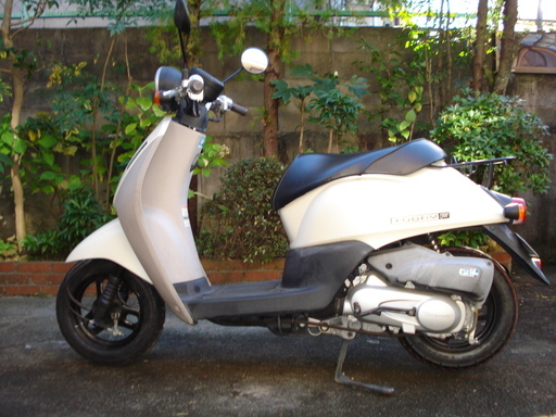 ホンダ　トゥデイ　AF67 インジェクションモデル　Fタイプ　パールホワイト
