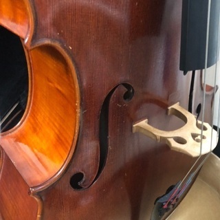 チェロ　本体　RMパウルス【定価400,000】 弓　ローターザイセルト【100,000円】