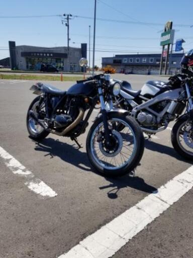 [決まりました]250TR カスタム多数