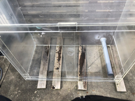 大型アクリル水槽アロワナ