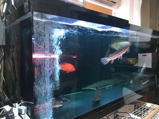 水槽　一式