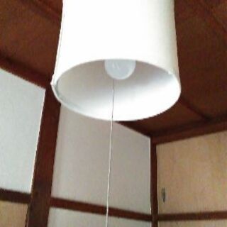 【ペンダントライト】NITORI　1灯　60w LED電球付