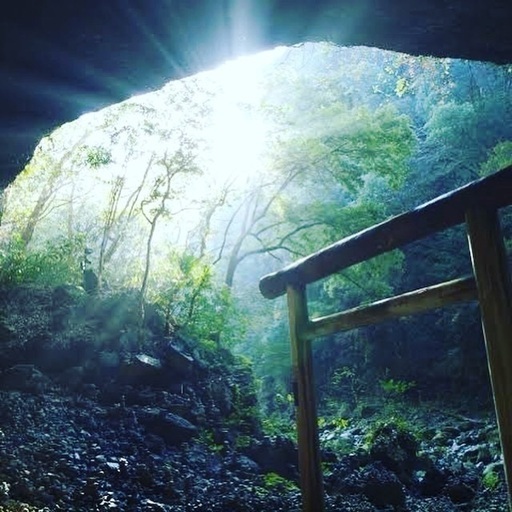 遠隔浄霊致します