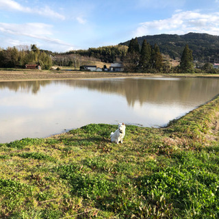 土いじり・蜂いじり　友達募集！