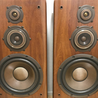 ダイアトーンスピーカーＤＳ－800Zです。