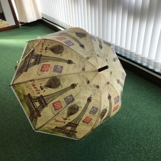 長傘　傘　ドーム型傘　ビニール傘　