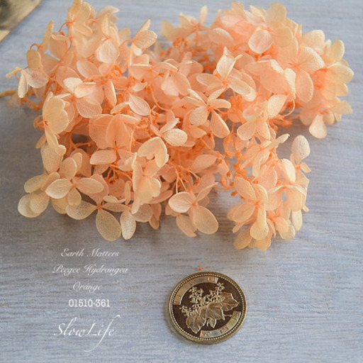 紫陽花 3g ジュリアオレンジ ソフトピラミッドアジサイ ヘッド 大地農園 アジサイ あじさい 花材 花 プリザード 361 のんびりうさぎ 倉敷のその他の中古あげます 譲ります ジモティーで不用品の処分