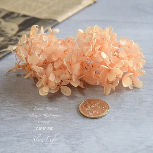 紫陽花 3g ジュリアオレンジ ソフトピラミッドアジサイ ヘッド 大地農園 アジサイ あじさい 花材 花 プリザード 361 のんびりうさぎ 倉敷のその他の中古あげます 譲ります ジモティーで不用品の処分