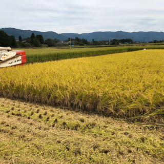 宮崎県 えびの市 お米 玄米 新米 30キロ 3月中出品