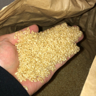 宮崎県 えびの市 お米 玄米 新米 30キロ 3月中出品