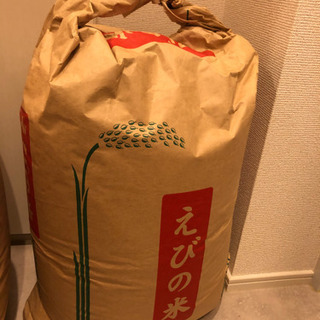 宮崎県 えびの市 お米 玄米 新米 30キロ 3月中出品