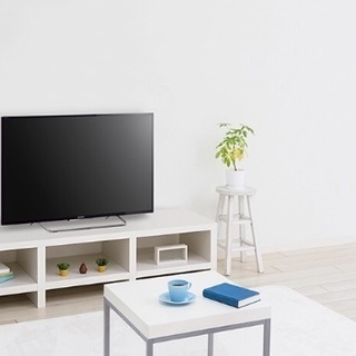 40インチテレビ /SONY BRAVIA