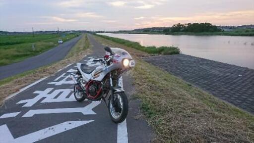 初期型ホンダＶＴ２５０ＦＣ