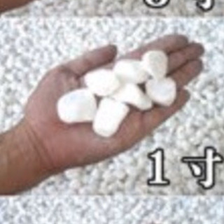 砂利 白玉 今月締切