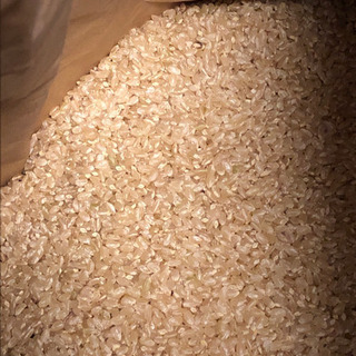 玄米　古々米譲りたいです