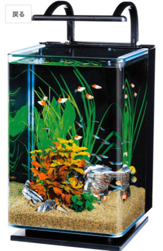 お値下げしました テトラ水槽ライト中古金魚熱帯魚 Kurosuke 綱島の家電の中古あげます 譲ります ジモティーで不用品の処分