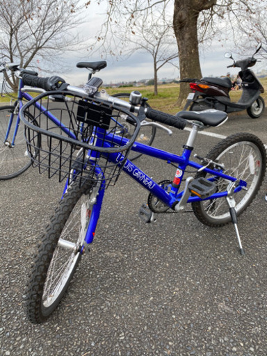 ルイガノ　子供　自転車　マウンテンバイク