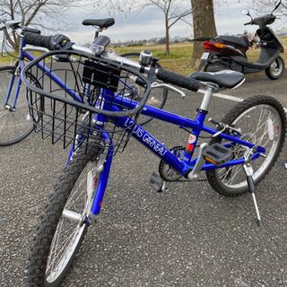 ルイガノ　子供　自転車　マウンテンバイク