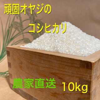 令和元年産　頑固オヤジのコシヒカリ近江米10kg　(滋賀湖北・減農薬)
